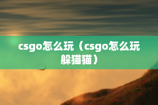 csgo怎么玩（csgo怎么玩躲猫猫）