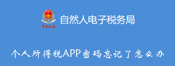 个人所得税APP密码忘记了怎么办