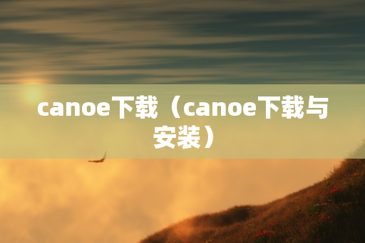 canoe下载（canoe下载与安装）