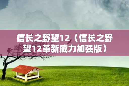 信长之野望12（信长之野望12革新威力加强版）