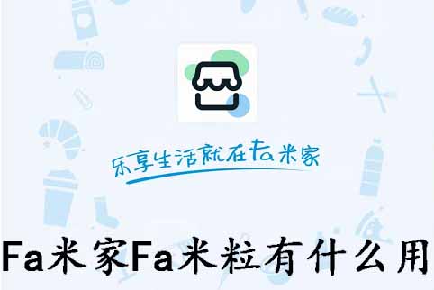 Fa米家Fa米粒有什么用