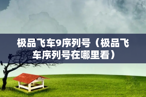 极品飞车9序列号（极品飞车序列号在哪里看）