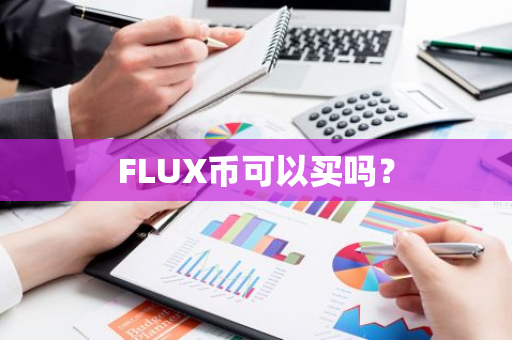 FLUX币可以买吗？