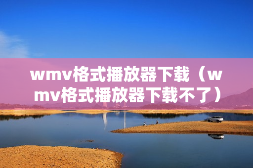 wmv格式播放器下载（wmv格式播放器下载不了）