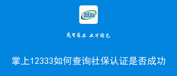 掌上12333如何查询社保认证是否成功