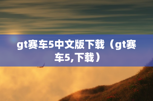 gt赛车5中文版下载（gt赛车5,下载）