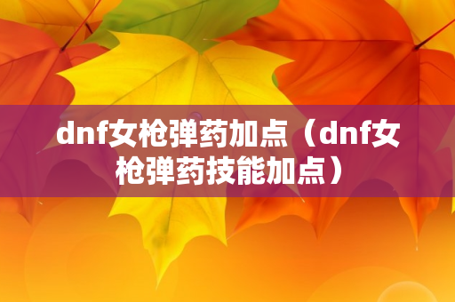 dnf女枪弹药加点（dnf女枪弹药技能加点）