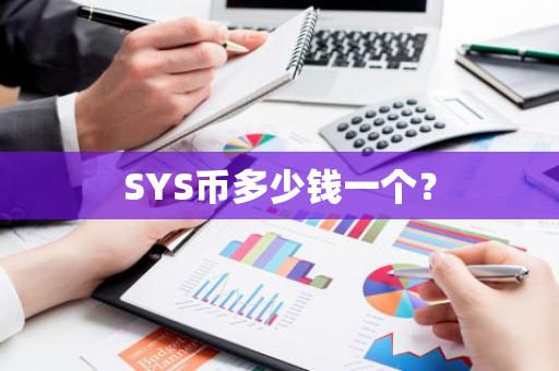 SYS币多少钱一个？