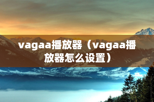 vagaa播放器（vagaa播放器怎么设置）