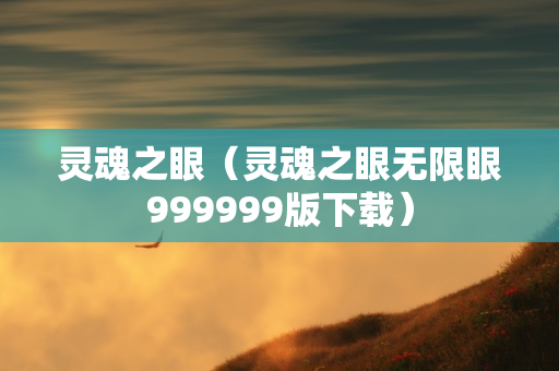 灵魂之眼（灵魂之眼无限眼999999版下载）