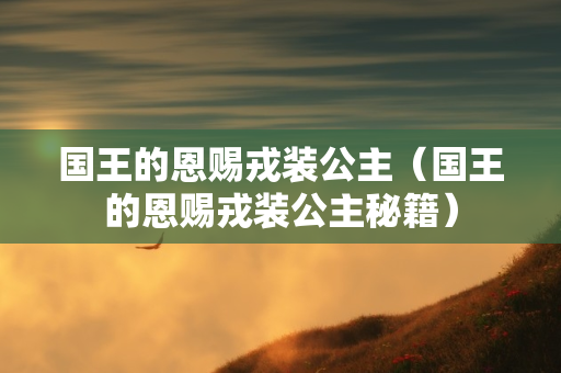 国王的恩赐戎装公主（国王的恩赐戎装公主秘籍）