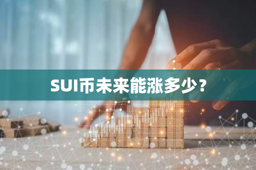 SUI币未来能涨多少？