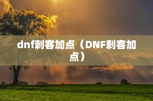 dnf刺客加点（DNF刺客加点）