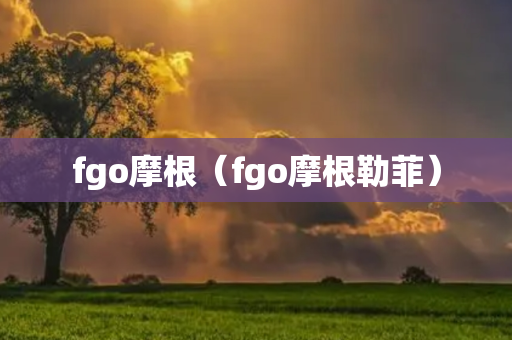 fgo摩根（fgo摩根勒菲）