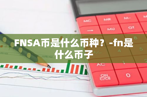 FNSA币是什么币种？-fn是什么币子