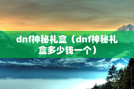 dnf神秘礼盒（dnf神秘礼盒多少钱一个）