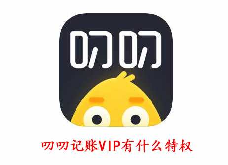 叨叨记账VIP有什么特权