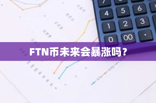 FTN币未来会暴涨吗？