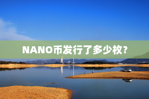 NANO币发行了多少枚？