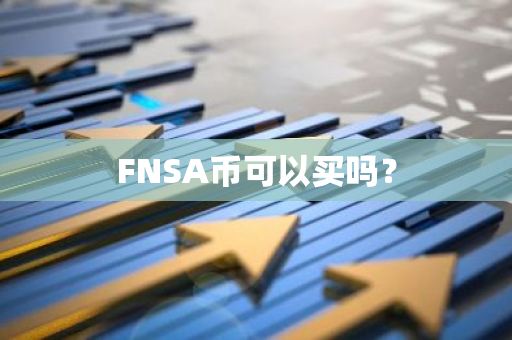 FNSA币可以买吗？