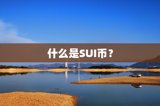 什么是SUI币？