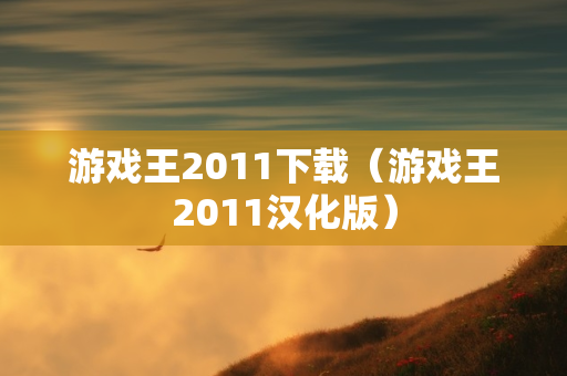 游戏王2011下载（游戏王2011汉化版）