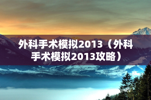 外科手术模拟2013（外科手术模拟2013攻略）