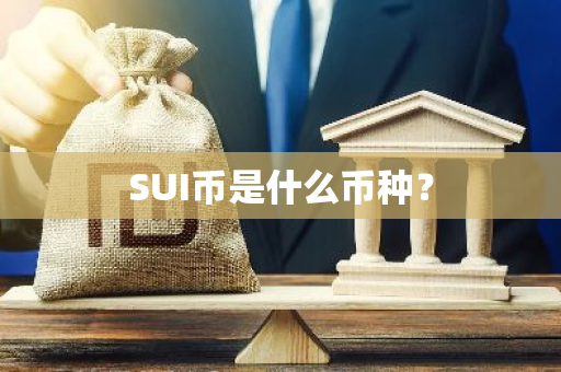 SUI币是什么币种？