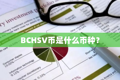 BCHSV币是什么币种？