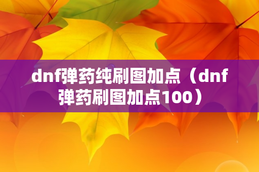 dnf弹药纯刷图加点（dnf弹药刷图加点100）