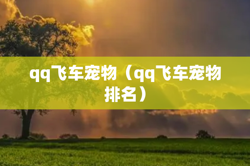 qq飞车宠物（qq飞车宠物排名）