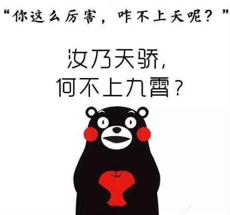 厉害不已什么意思