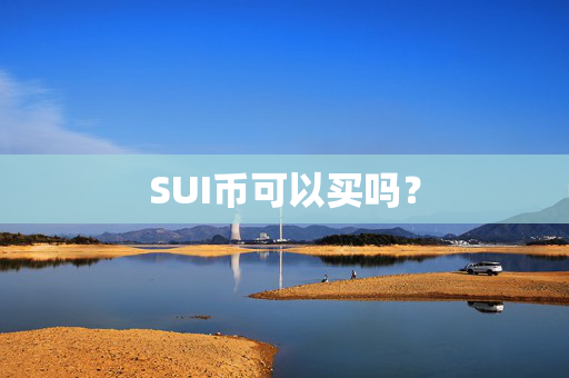 SUI币可以买吗？