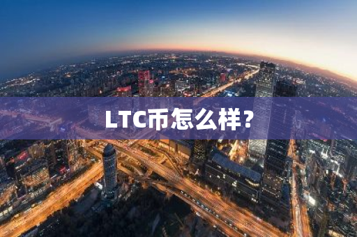 LTC币怎么样？