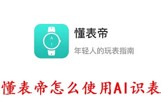 懂表帝怎么使用AI识表