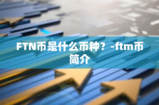 FTN币是什么币种？-ftm币简介