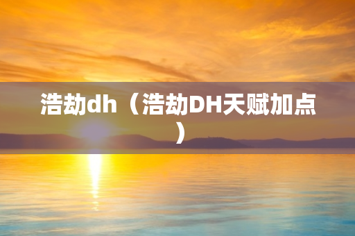 浩劫dh（浩劫DH天赋加点）