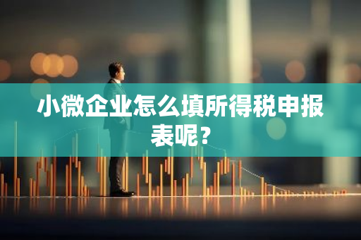 小微企业怎么填所得税申报表呢？