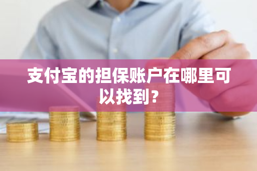 支付宝的担保账户在哪里可以找到？