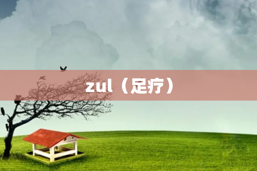 zul（足疗）