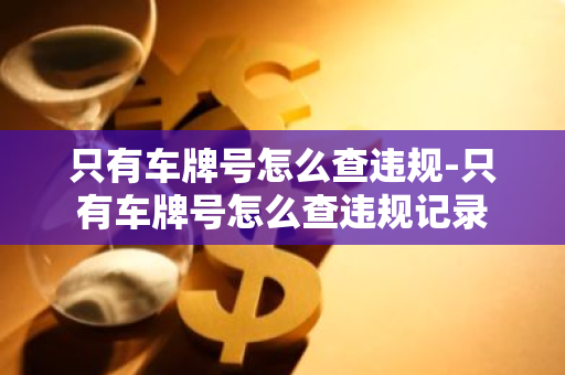 只有车牌号怎么查违规-只有车牌号怎么查违规记录