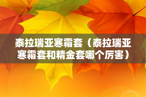 泰拉瑞亚寒霜套（泰拉瑞亚寒霜套和精金套哪个厉害）