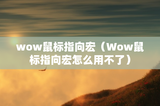 wow鼠标指向宏（Wow鼠标指向宏怎么用不了）