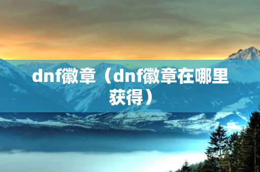 dnf徽章（dnf徽章在哪里获得）