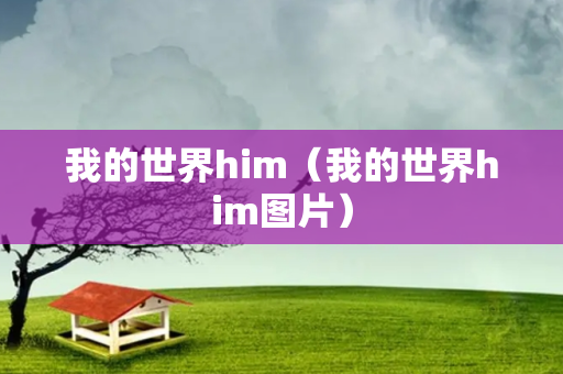 我的世界him（我的世界him图片）