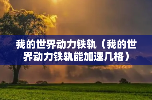 我的世界动力铁轨（我的世界动力铁轨能加速几格）