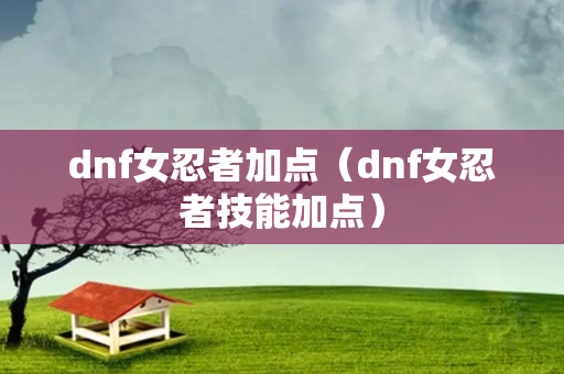 dnf女忍者加点（dnf女忍者技能加点）