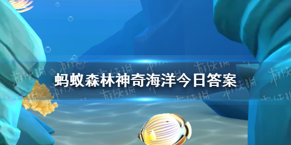 支付宝蚂蚁森林神奇海洋12月12日答案