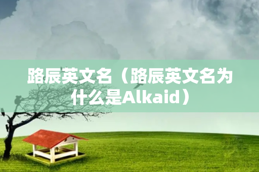 路辰英文名（路辰英文名为什么是Alkaid）