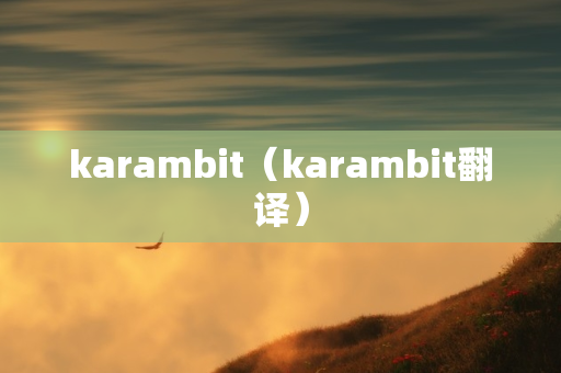 karambit（karambit翻译）